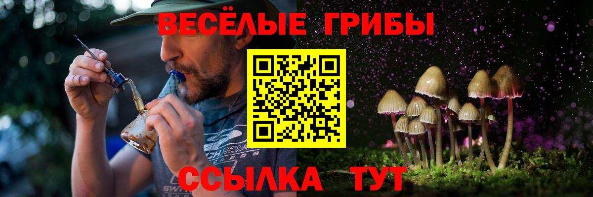 Псилоцибиновые грибы прущие грибы  Псилоцибиновые грибы Psilocybe  Вход с VPN  Новочеркасск 